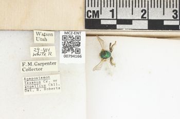 Media type: image;   Entomology 794166 Aspect: Labels
